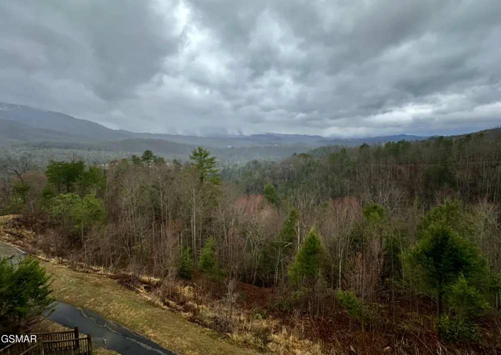 3710 Weber Road #E306 Gatlinburg, TN 37738
