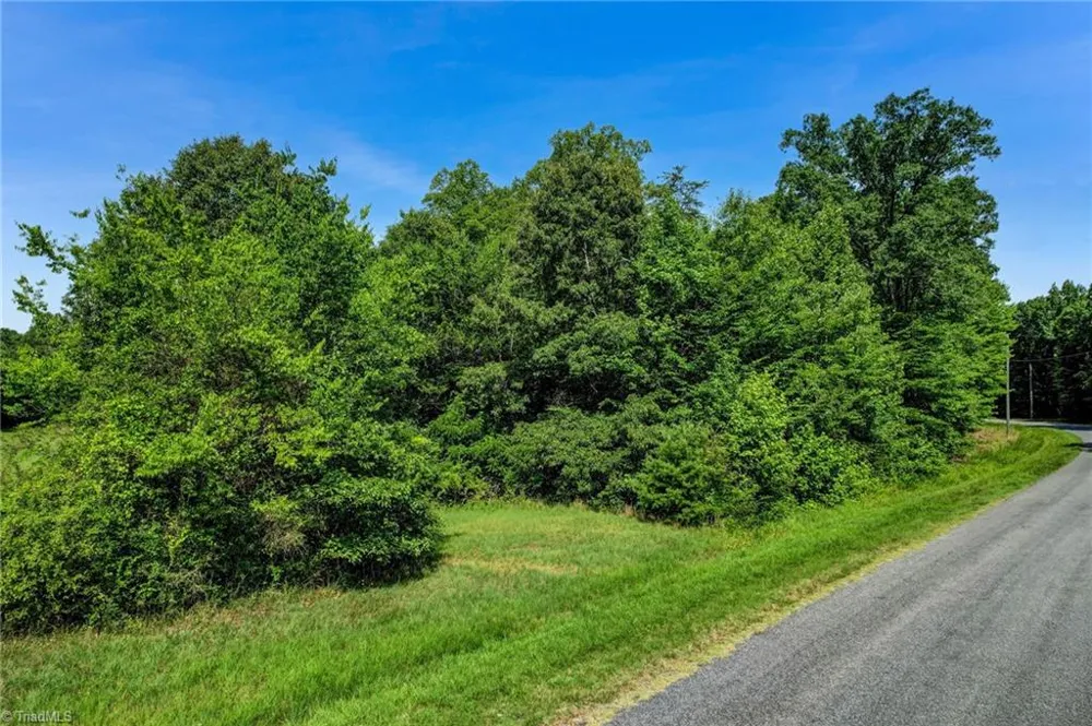 Lot 2 Henry Road Madison, NC 27025