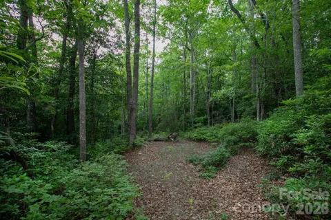 Lot 28 Big Hill Road #28