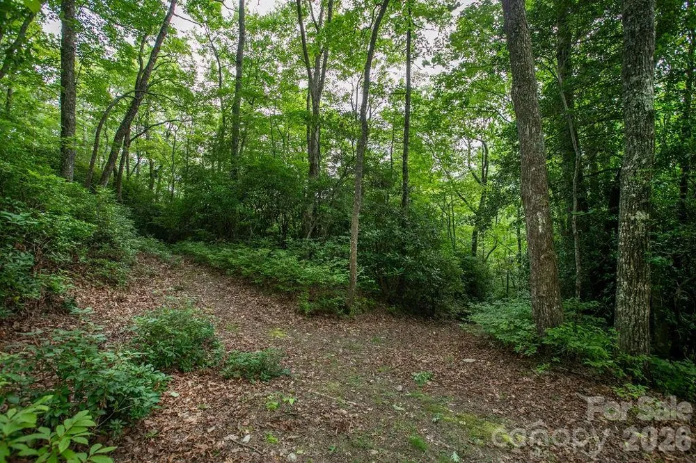 Lot 28 Big Hill Road #28 Brevard, NC 28712