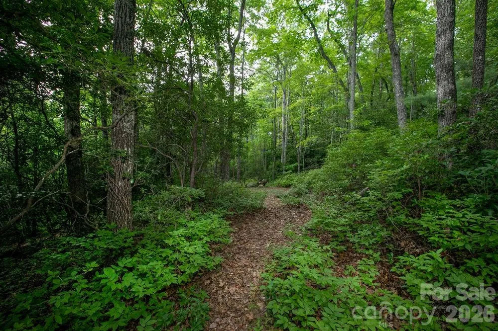 Lot 28 Big Hill Road #28 Brevard, NC 28712