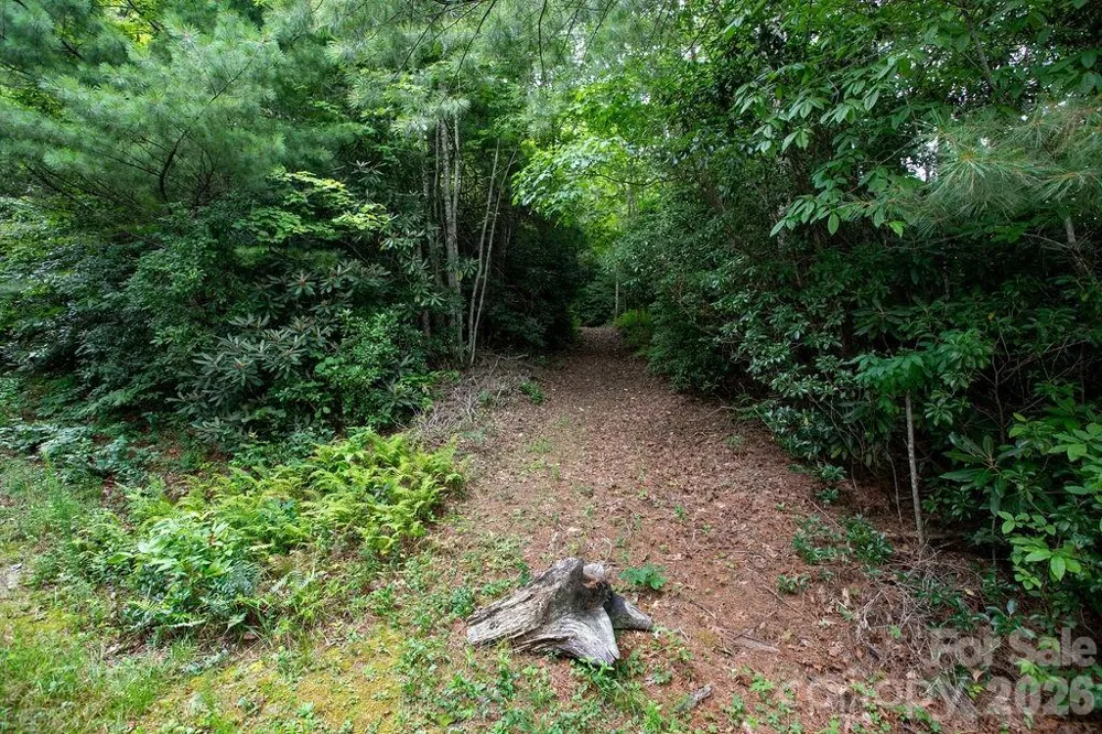 Lot 28 Big Hill Road #28 Brevard, NC 28712