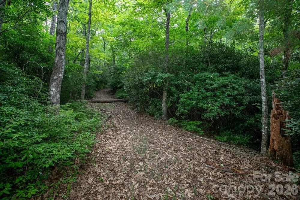 Lot 28 Big Hill Road #28 Brevard, NC 28712