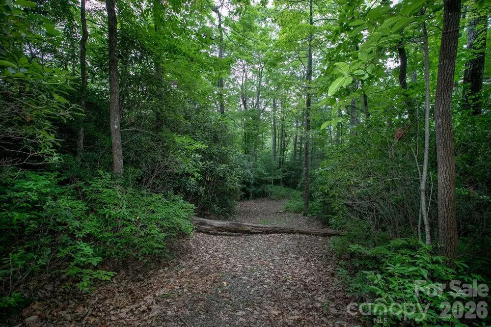Lot 28 Big Hill Road #28 Brevard, NC 28712