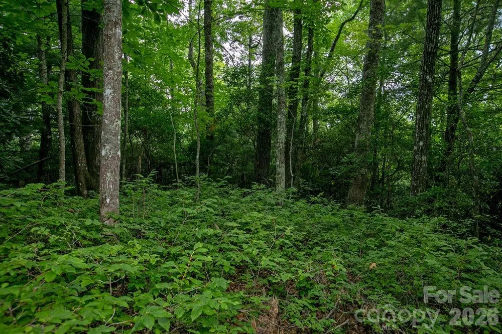 Lot 28 Big Hill Road #28 Brevard, NC 28712