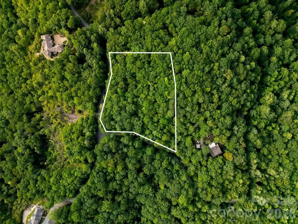 Lot 28 Big Hill Road #28 Brevard, NC 28712