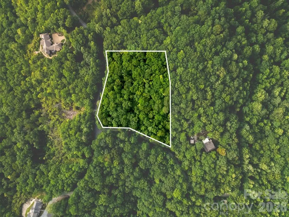Lot 28 Big Hill Road #28 Brevard, NC 28712
