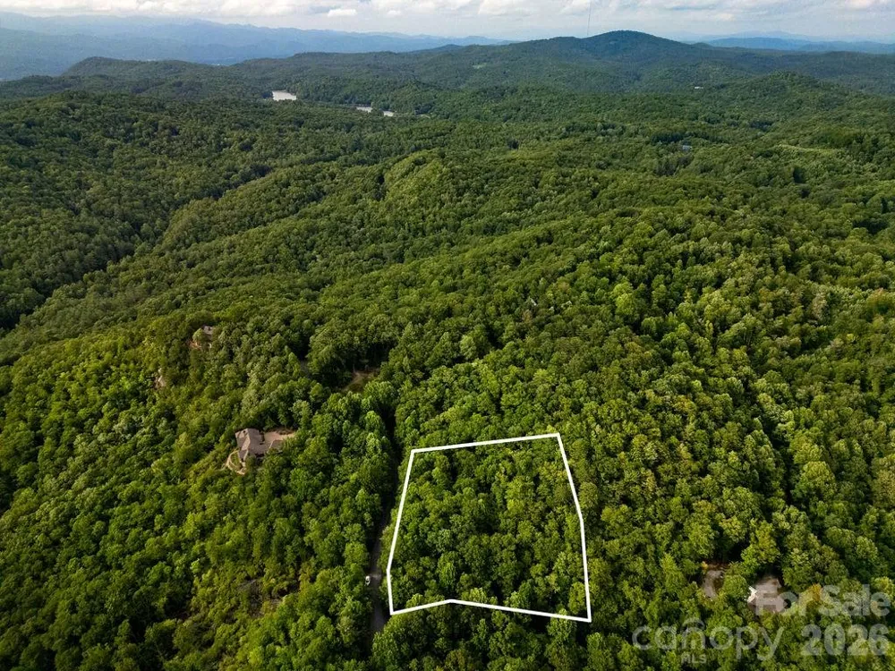 Lot 28 Big Hill Road #28 Brevard, NC 28712
