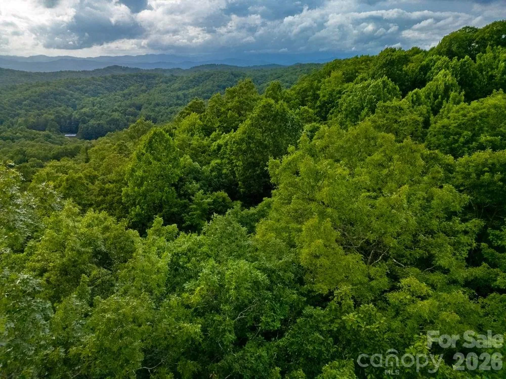 Lot 28 Big Hill Road #28 Brevard, NC 28712