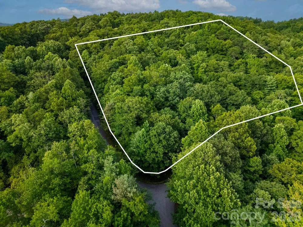Lot 28 Big Hill Road #28 Brevard, NC 28712
