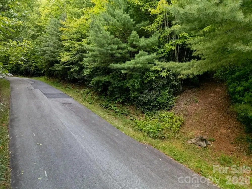 Lot 28 Big Hill Road #28 Brevard, NC 28712
