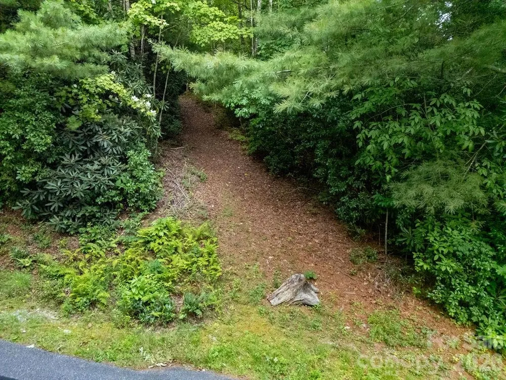 Lot 28 Big Hill Road #28 Brevard, NC 28712