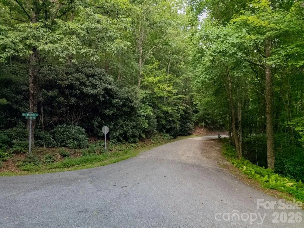 Lot 28 Big Hill Road #28 Brevard, NC 28712