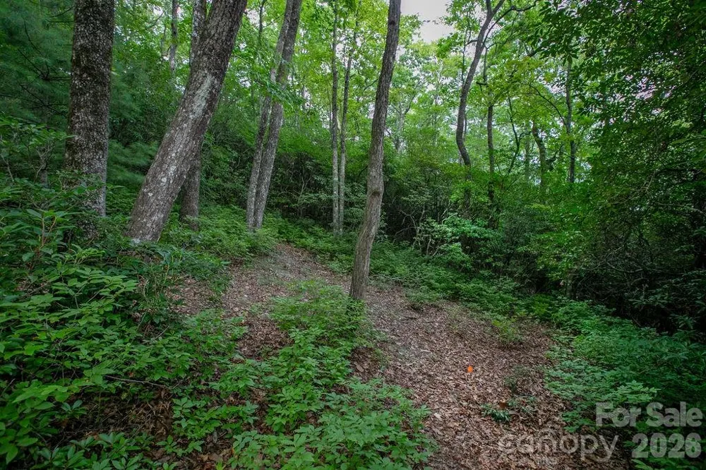 Lot 28 Big Hill Road #28 Brevard, NC 28712