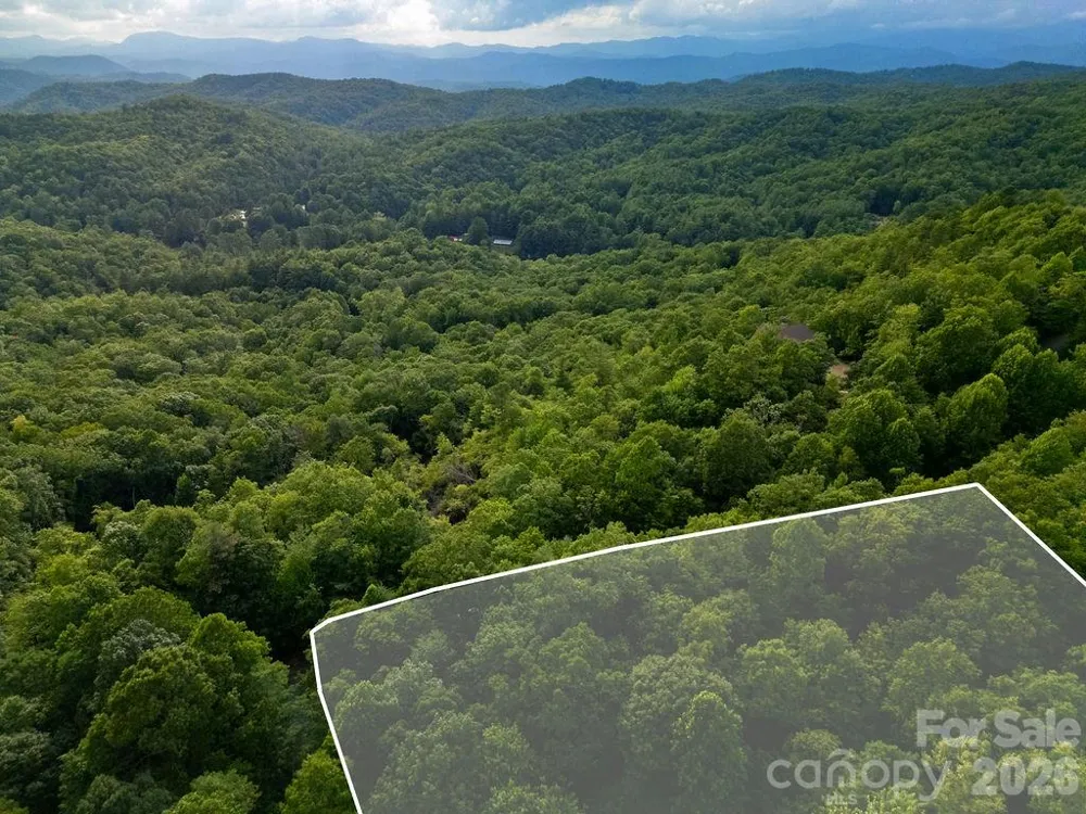 Lot 28 Big Hill Road #28 Brevard, NC 28712