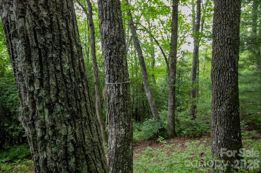 Lot 28 Big Hill Road #28 Brevard, NC 28712