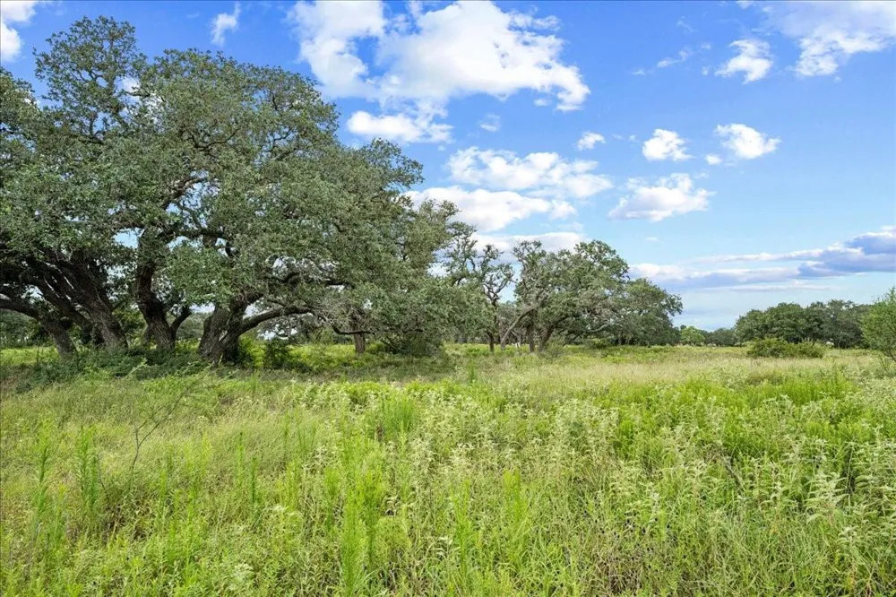 Teal Lane Columbus, TX 78934