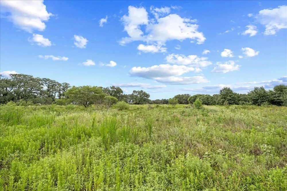 Teal Lane Columbus, TX 78934