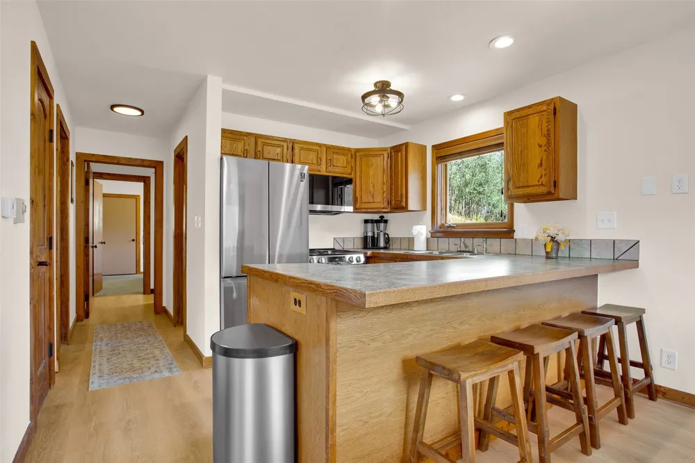 2399 CO Rd 6 Alma, CO 80420