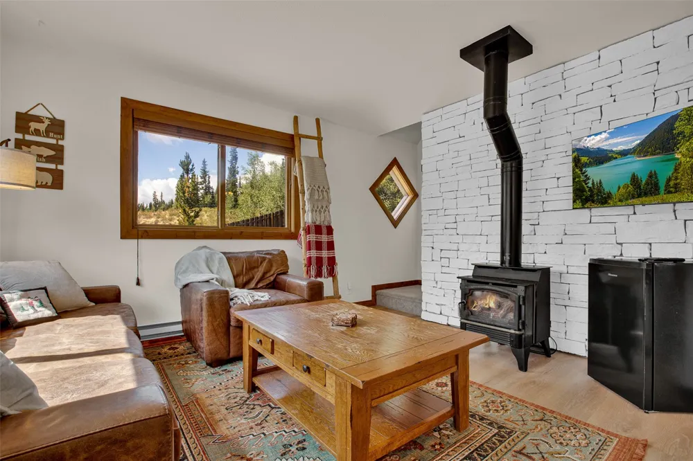 2399 CO Rd 6 Alma, CO 80420