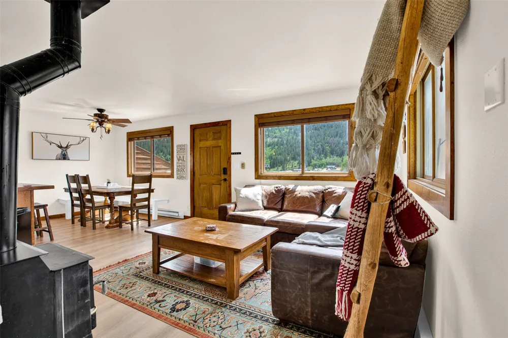 2399 CO Rd 6 Alma, CO 80420