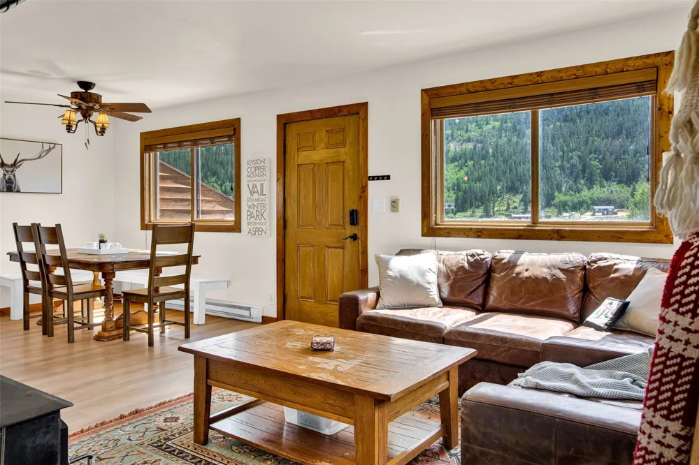 2399 CO Rd 6 Alma, CO 80420