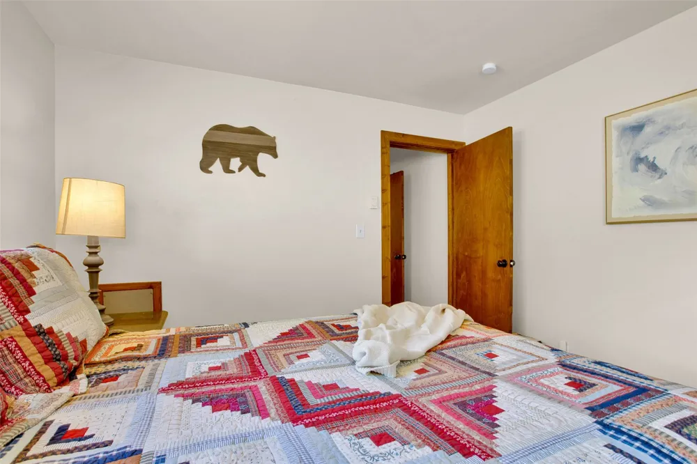 2399 CO Rd 6 Alma, CO 80420