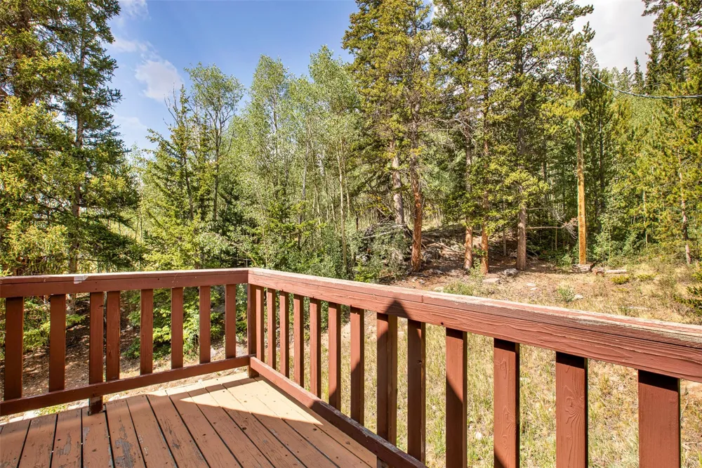 2399 CO Rd 6 Alma, CO 80420