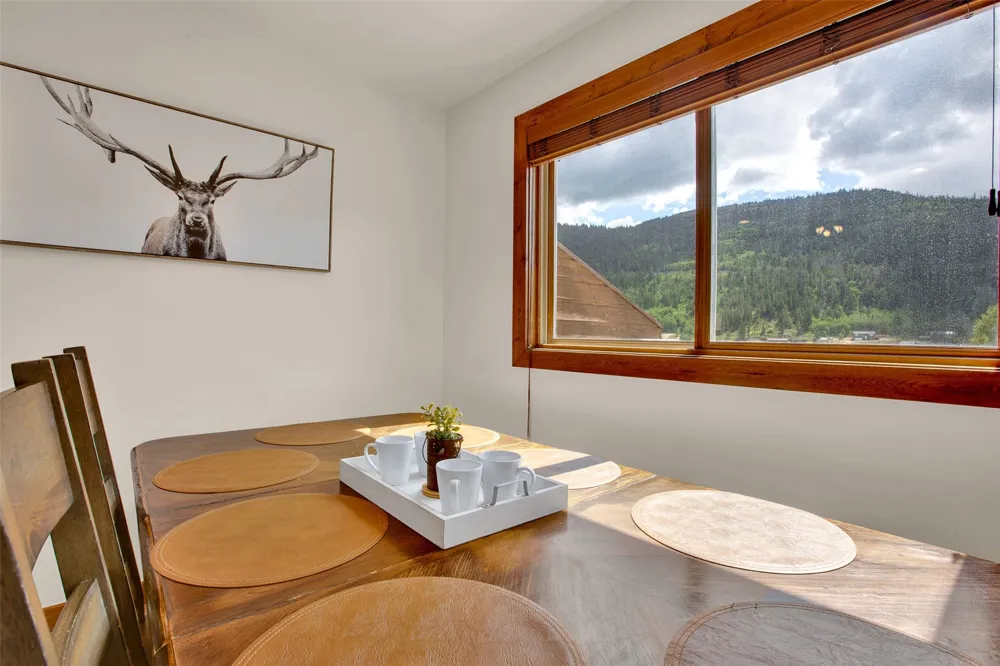 2399 CO Rd 6 Alma, CO 80420