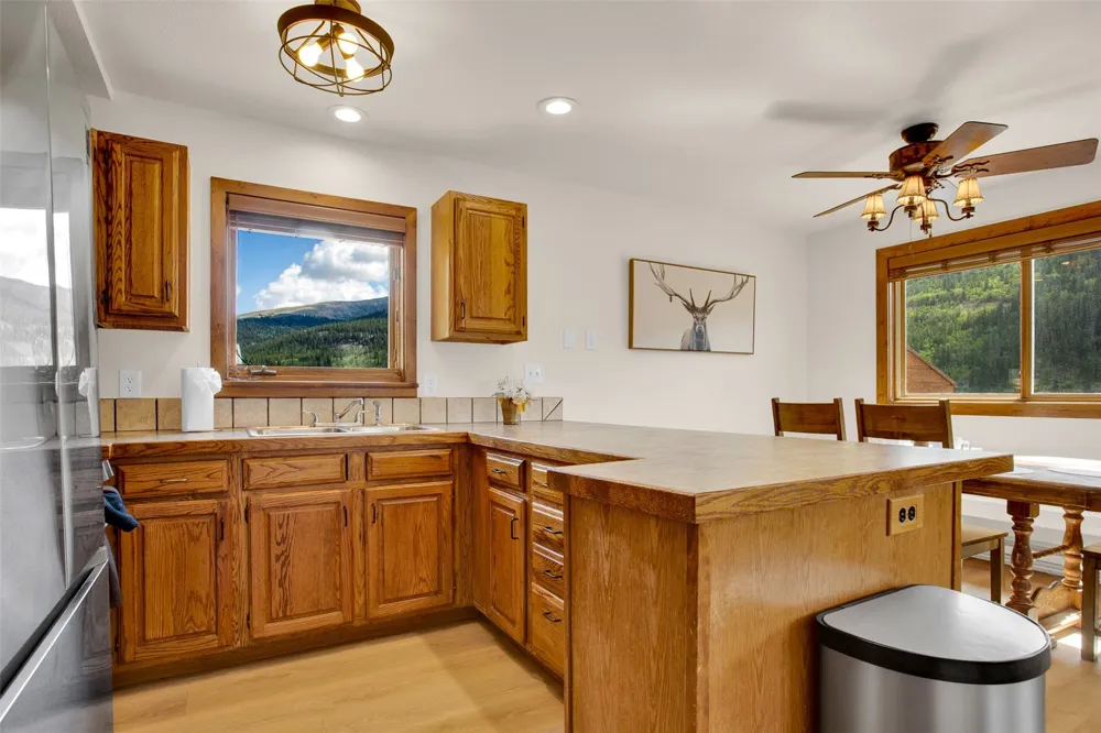 2399 CO Rd 6 Alma, CO 80420