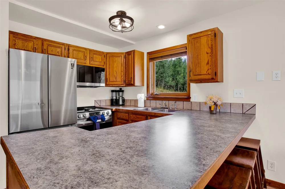 2399 CO Rd 6 Alma, CO 80420