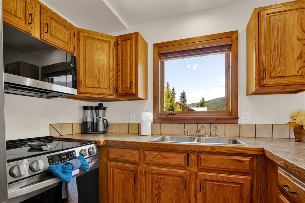 2399 CO Rd 6 Alma, CO 80420