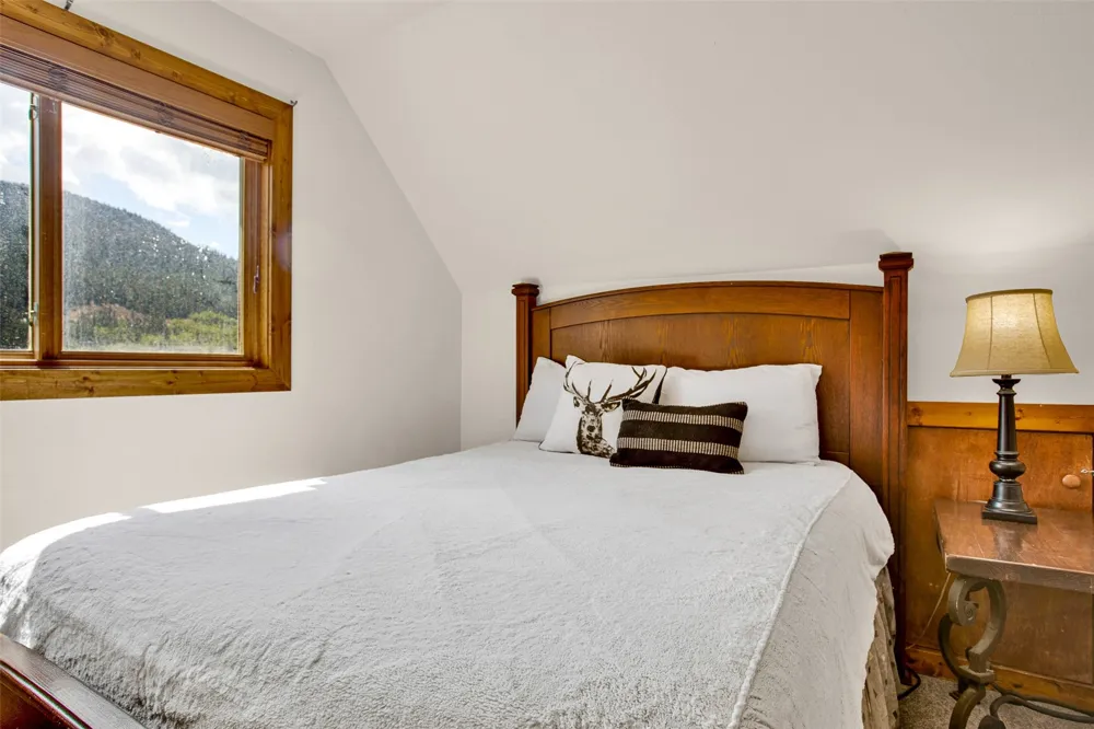 2399 CO Rd 6 Alma, CO 80420