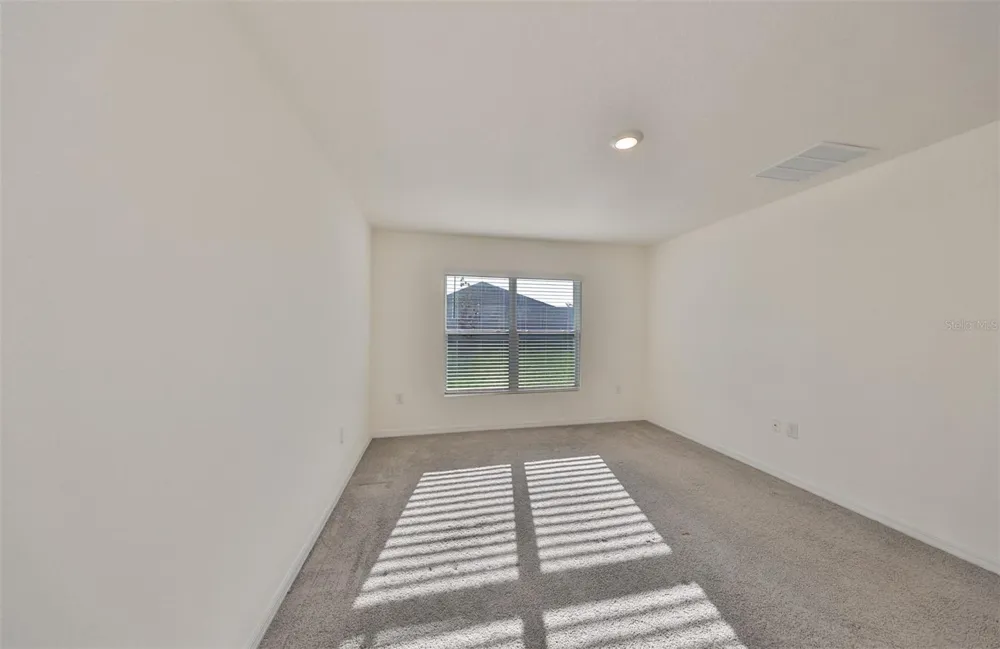 16782 CARLTON POND STREET Wimauma, FL 33598
