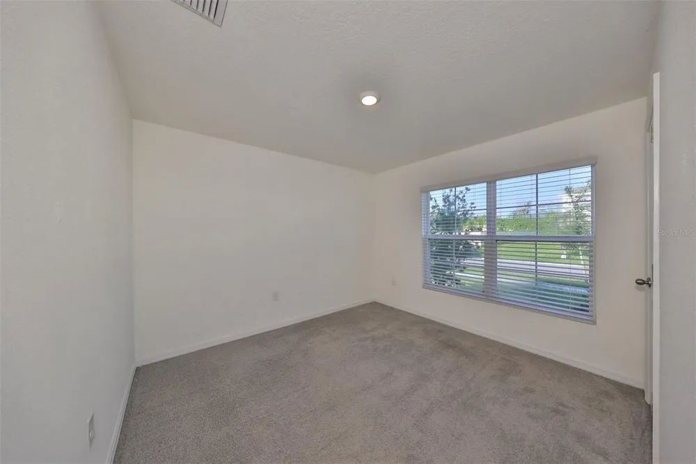 16782 CARLTON POND STREET Wimauma, FL 33598
