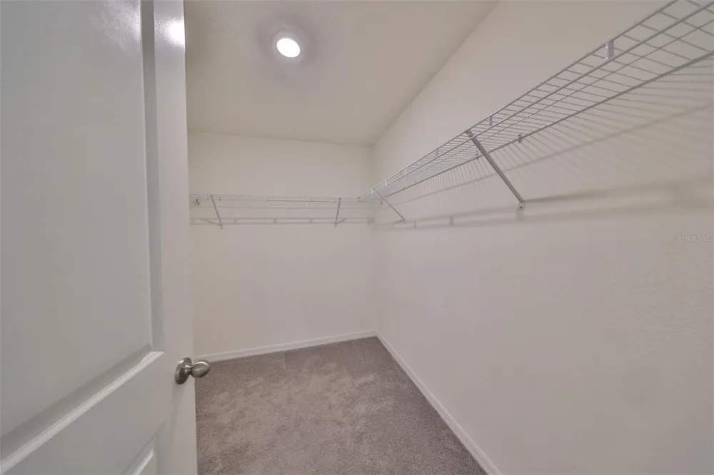 16782 CARLTON POND STREET Wimauma, FL 33598