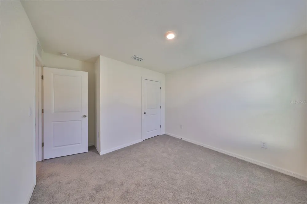 16782 CARLTON POND STREET Wimauma, FL 33598