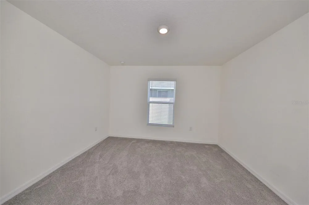 16782 CARLTON POND STREET Wimauma, FL 33598