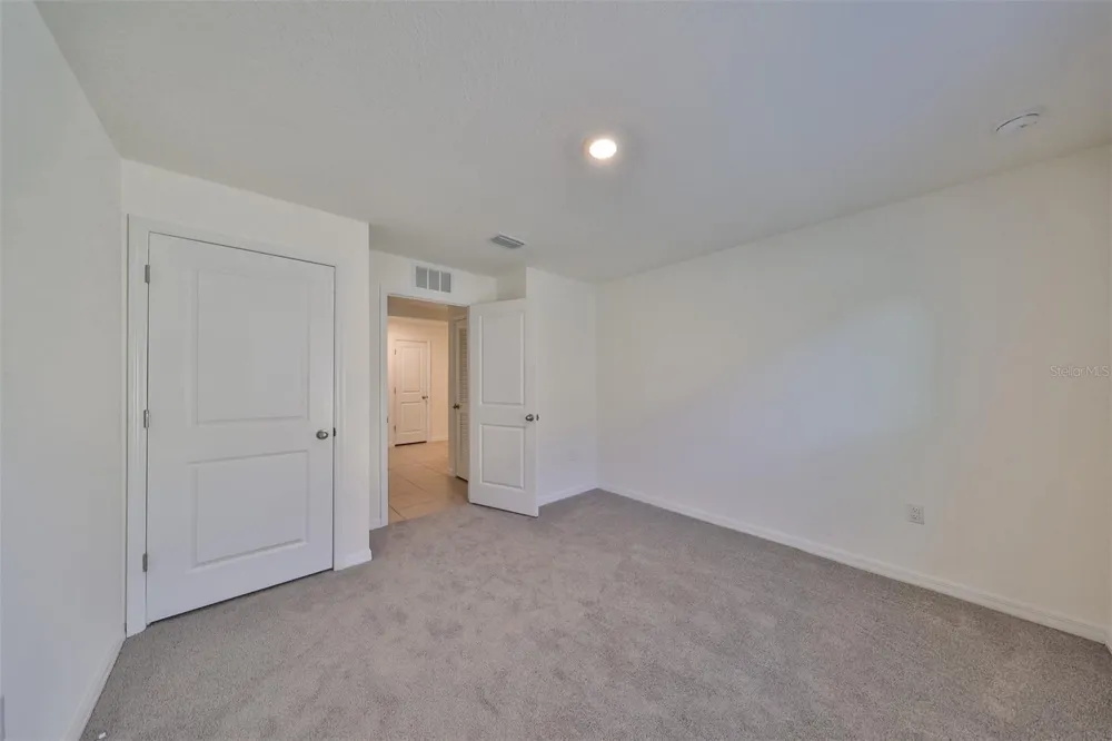 16782 CARLTON POND STREET Wimauma, FL 33598