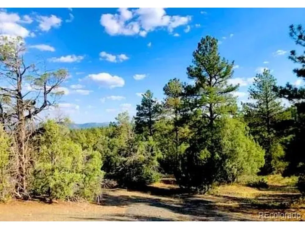 131 Retreat Court Pagosa Springs, CO 81147