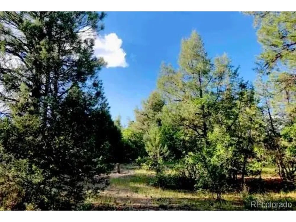 131 Retreat Court Pagosa Springs, CO 81147