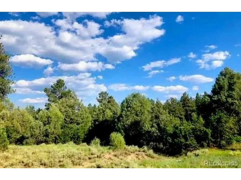 131 Retreat Court Pagosa Springs, CO 81147