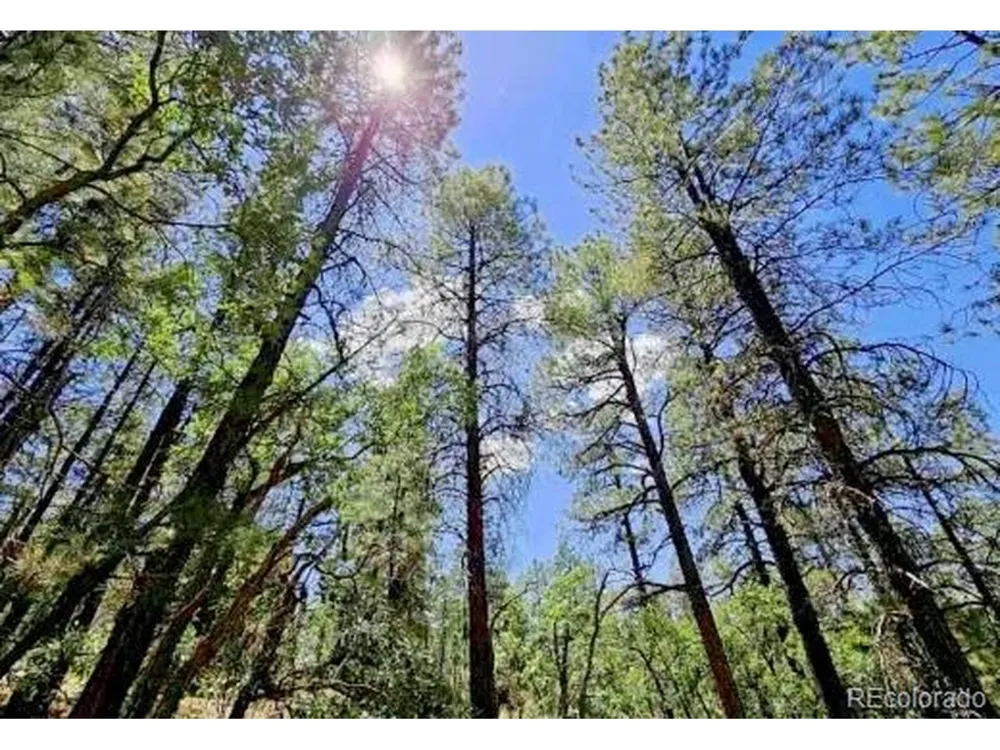 131 Retreat Court Pagosa Springs, CO 81147