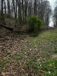 197 County Rd Athens, TN 37303