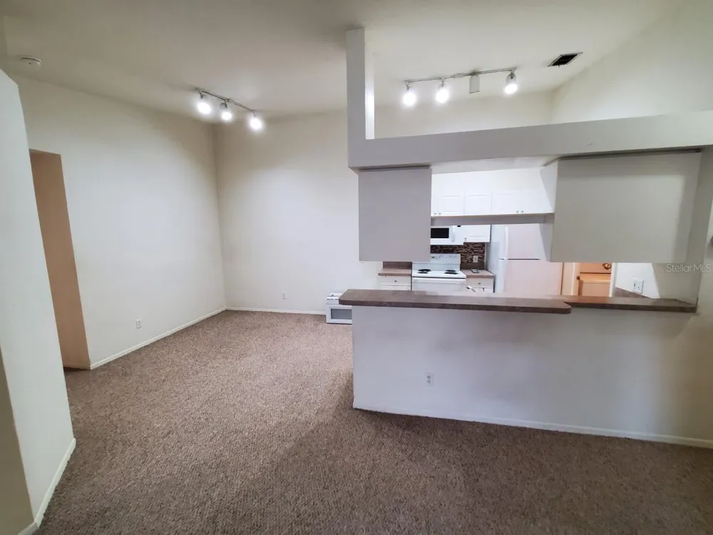 5903 WILLOW RIDGE DRIVE #203 Zephyrhills, FL 33541