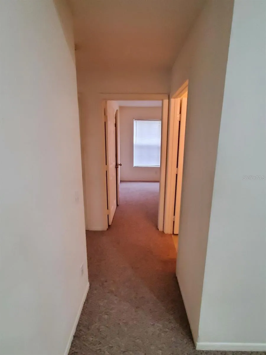 5903 WILLOW RIDGE DRIVE #203 Zephyrhills, FL 33541