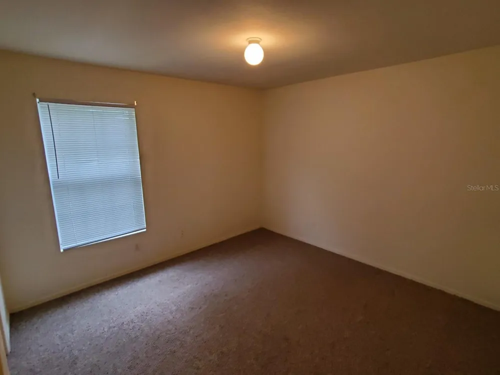 5903 WILLOW RIDGE DRIVE #203 Zephyrhills, FL 33541