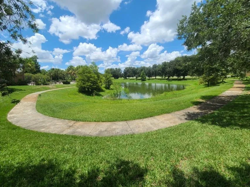 5903 WILLOW RIDGE DRIVE #203 Zephyrhills, FL 33541