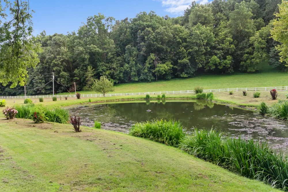 54 Warden Rd Fayetteville, TN 37334