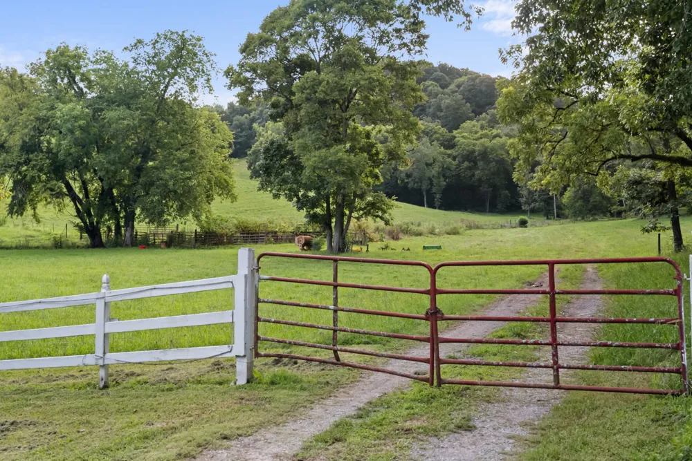54 Warden Rd Fayetteville, TN 37334